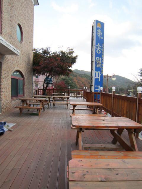 Motel Songwol Park Sokcho Zewnętrze zdjęcie